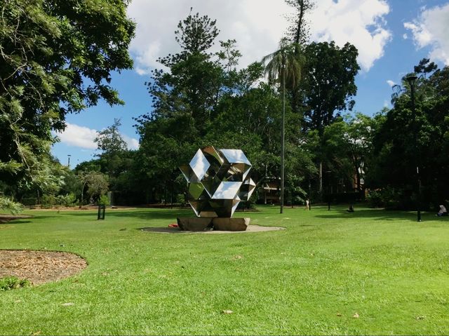 Beautiful City Botanic Gardens Brisbane 🌺🌳