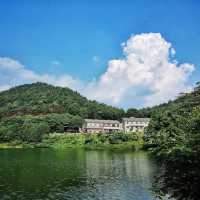 探索四明山秘境：三日行程全攻略。