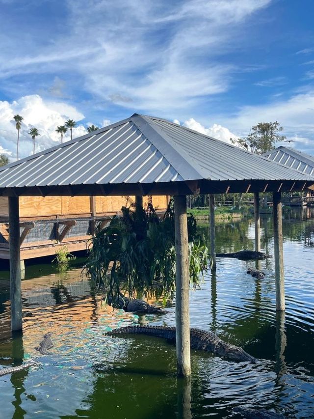 Florida's Must-See Attractions Unveiled