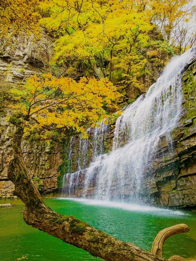 黎坪美景