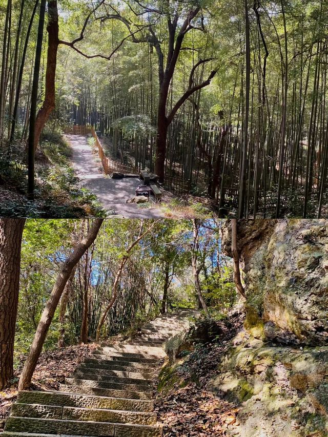 聊城！驗越王山飛拉達