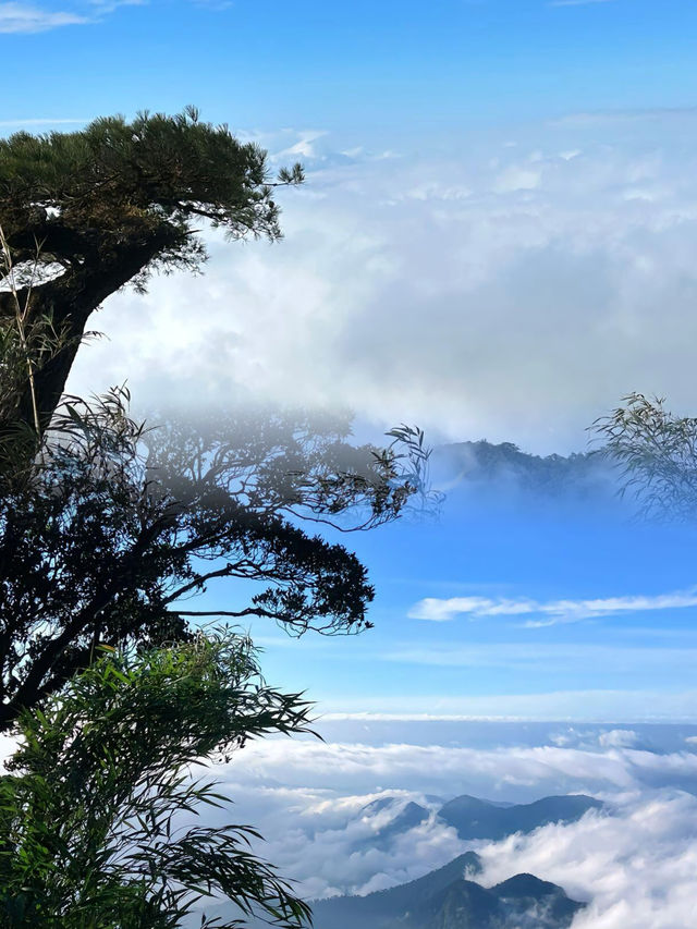 唔去過五指山就算未去過海南。