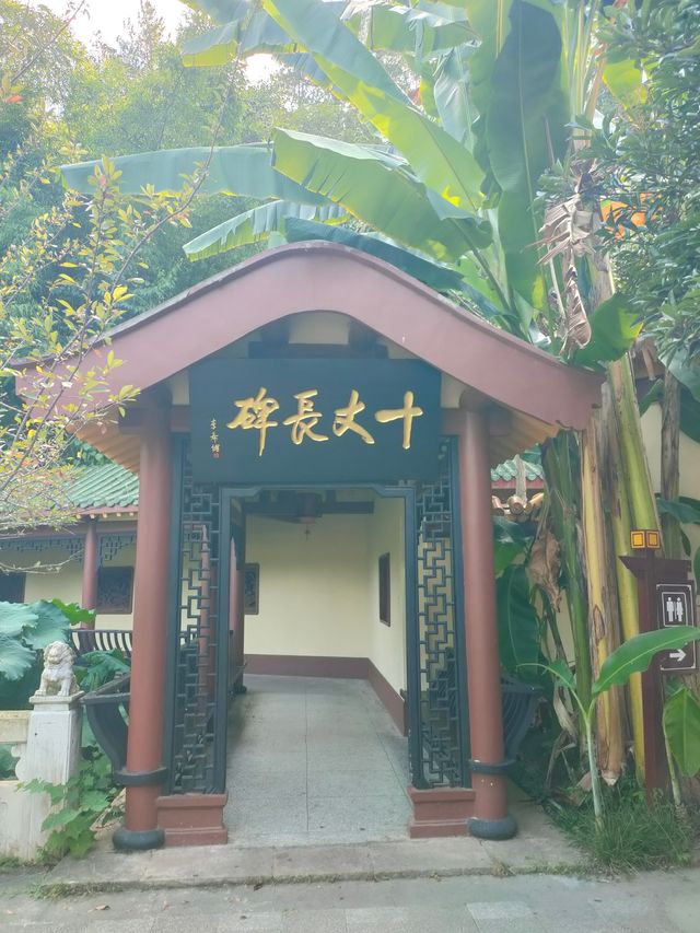 富樂山公園。