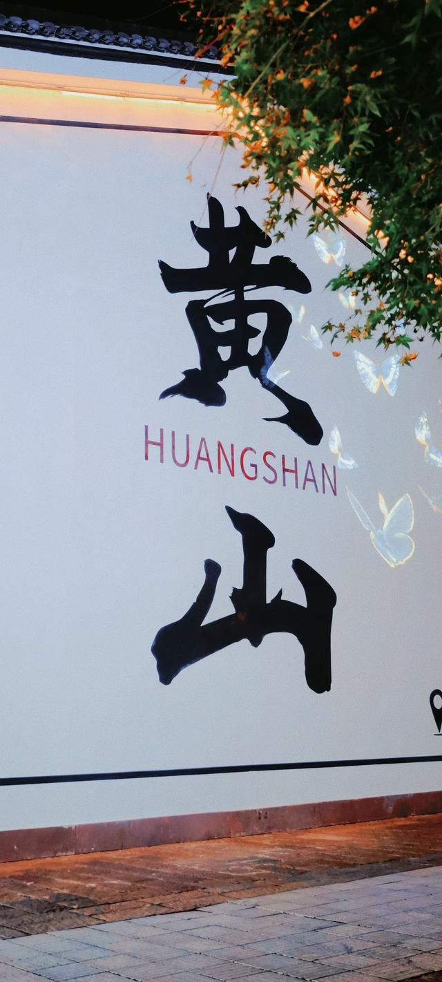 我很少用「不想走」來形容一個地方……。
