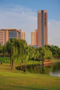 不用去大理！去有風的寶藏公園看日落吧。