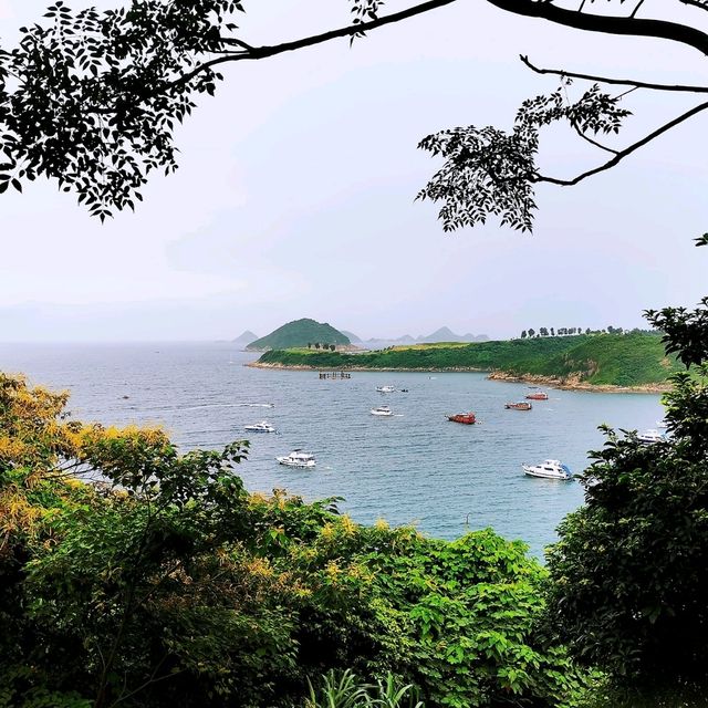 蝦山篤•大廟•布袋澳