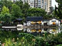 蛻變——和平公園。