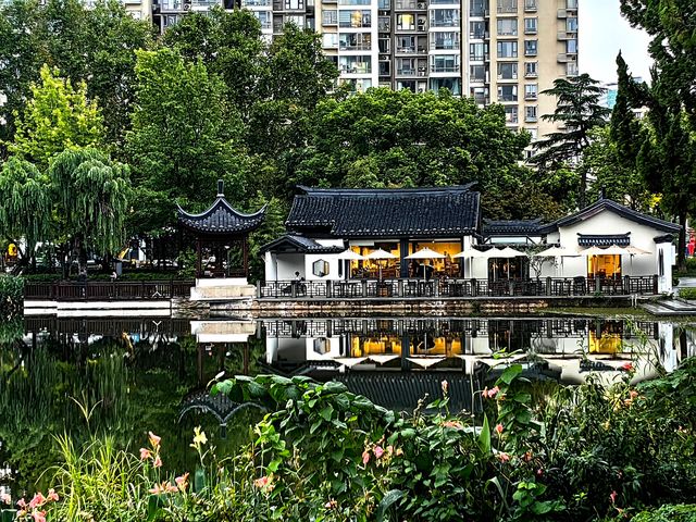 蛻變——和平公園。