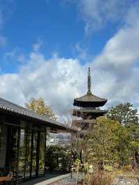 京都·清水青龍酒店秘境探索之旅。