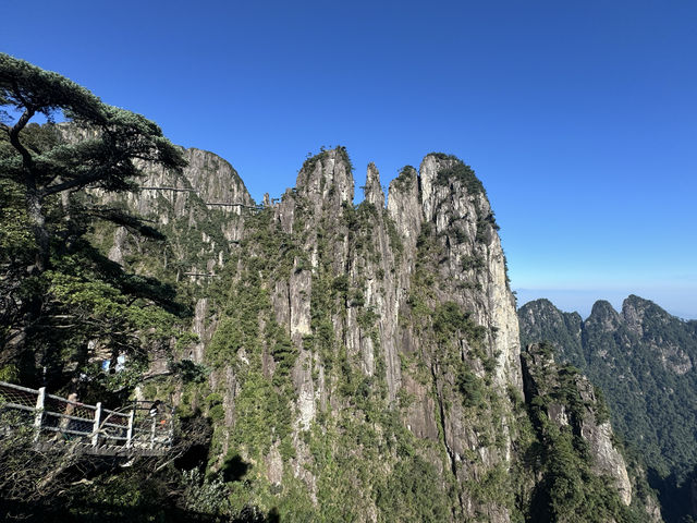 莽山——一座不用爬的山。