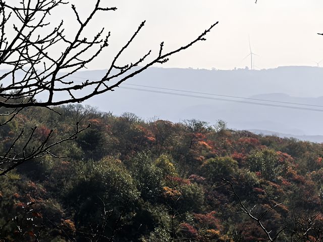秋到靳家嶺。 秋到靳家嶺。