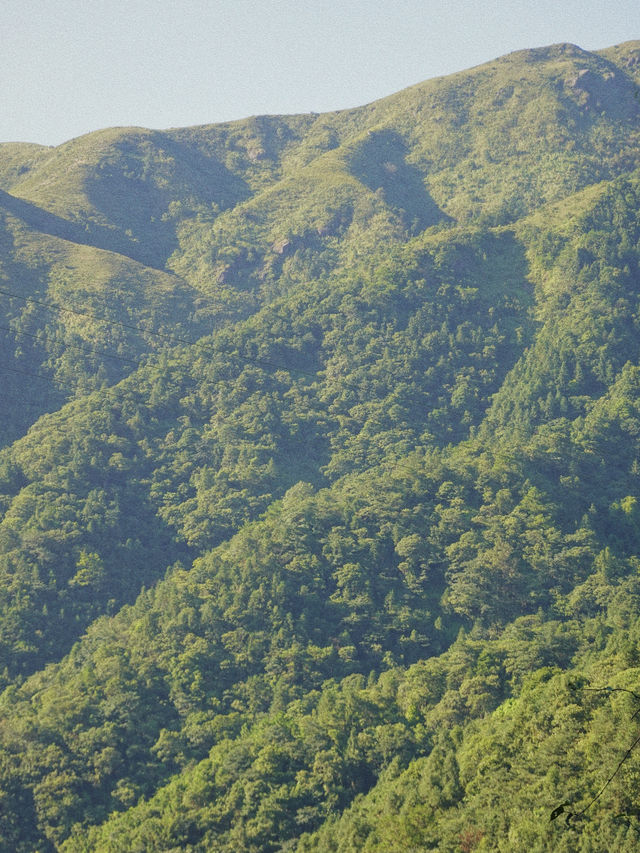 信宜｜廣東人自己的阿勒泰—小眾徒步地雞籠頂！。