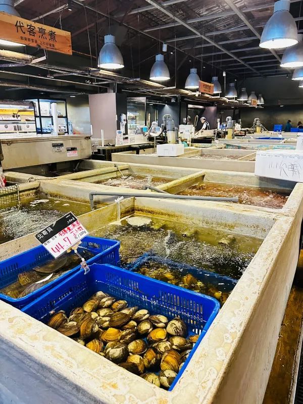 台北魚市場的夜晚魅力 🌙🦐