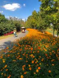 不是共青，另一個「莫奈花園」來襲！。