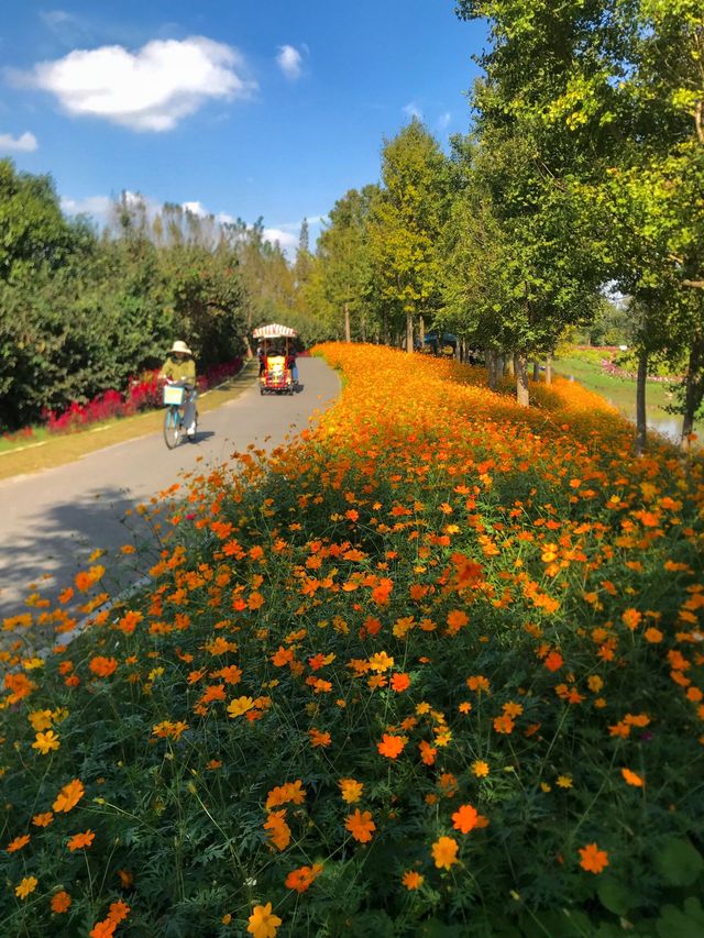 不是共青，另一個「莫奈花園」來襲！。
