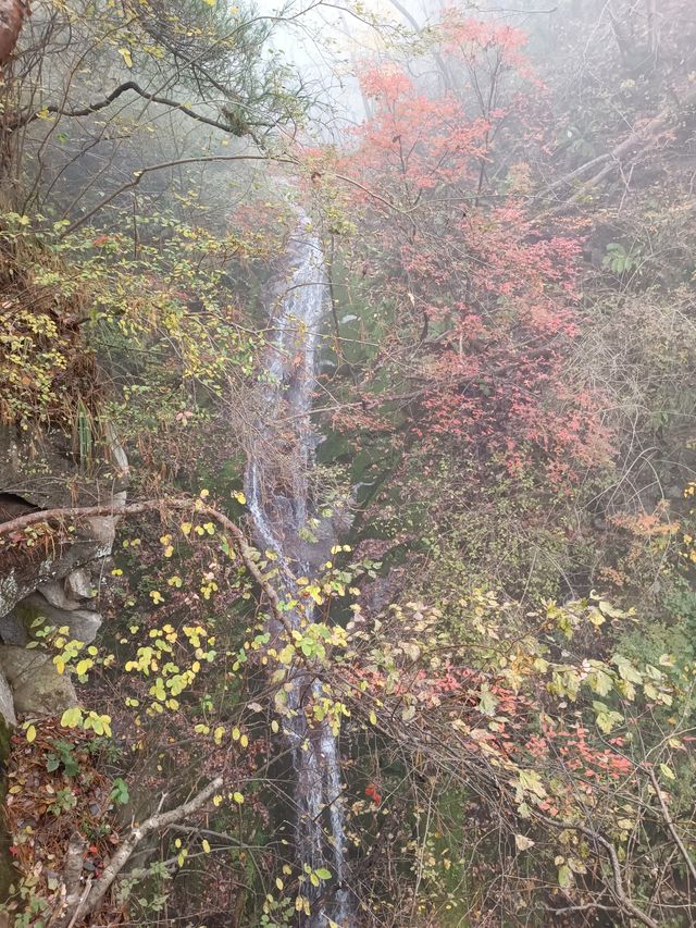 祥峪森林公園。