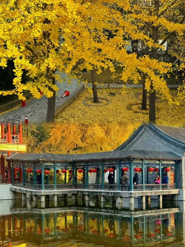 北京大觀園｜漫步紅樓，賞秋色！