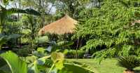 Badreni Jungle Resort 民宿。