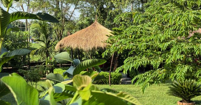 Badreni Jungle Resort 民宿。