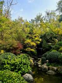 青島北嶺山森林公園野趣十足的秘密基地。