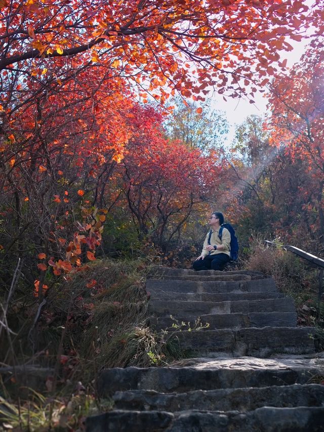 我發現了鄭州最小眾無人紅葉谷了。