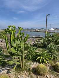 今天天氣晴笑容可鹹可甜。