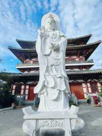 來大洪山看銀杏吧！