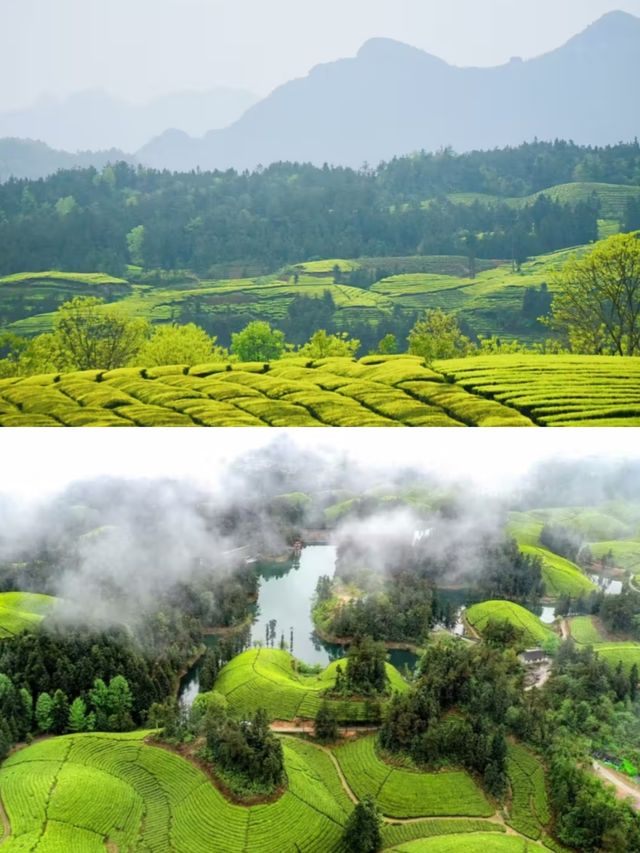 山野民宿鶴峰沁心居民宿。