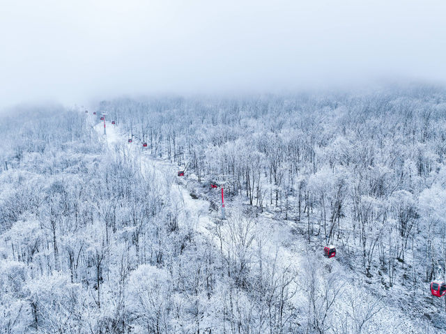 北大湖滑雪度假區 冰雪盛宴高山霧凇。