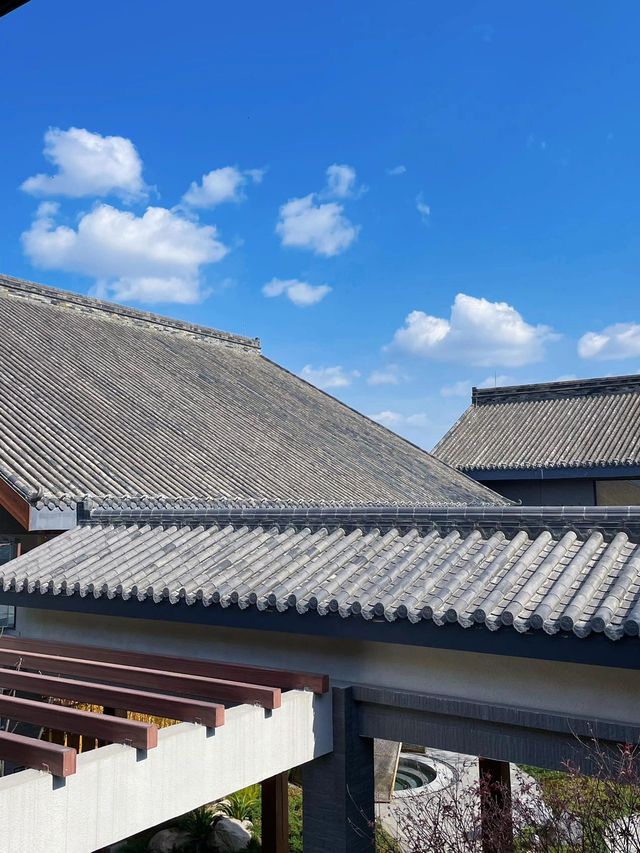 成都周邊遊｜拍照好去處。