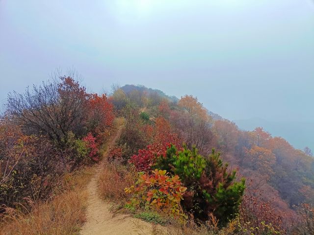 西安‖徒步五道梁觀賞紅葉。