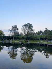深圳公園|西麗生態公園。