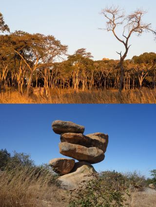 "Harare Chronicles: The Cultural Heartbeat of Zimbabwe." 