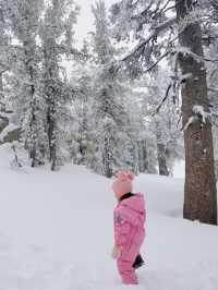 Exploring Tahoe Heavenly: A Perfect Family Ski Destination