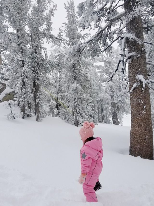 Exploring Tahoe Heavenly: A Perfect Family Ski Destination