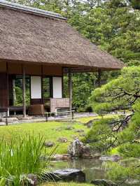京都|避開人潮的小眾玩法~。