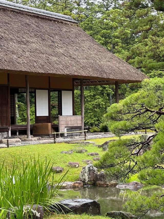京都|避開人潮的小眾玩法~。