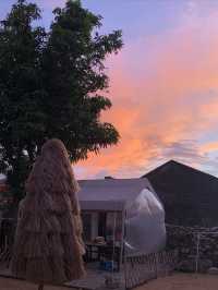 南極村四葉海風棲院，在這裡你就可以待上一天！