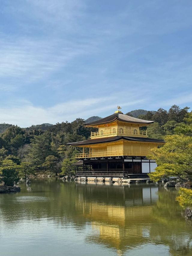 日本8日遊秋遊正當時 錯過等一年。