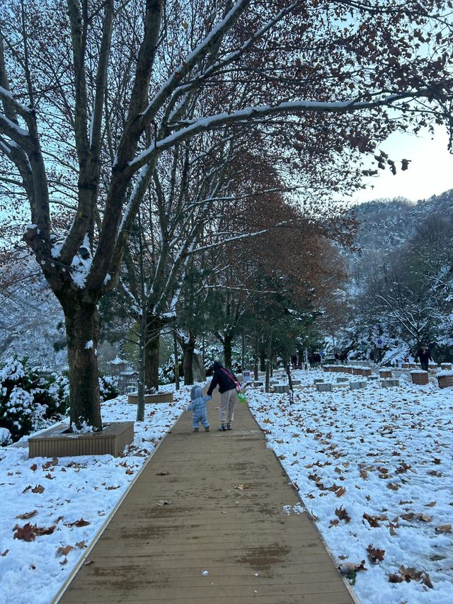 西安翠華山|絕美雪景。 西安翠華山|絕美雪景。