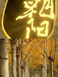 朝陽：古都的晨光，蘊藏無盡故事。