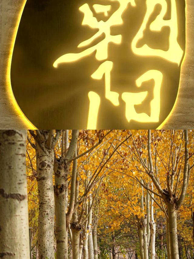 朝陽：古都的晨光，蘊藏無盡故事。