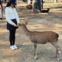 🦌 Oh deer! Looks like Nara just stole my heart😍♥️