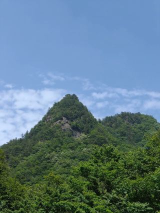 Foping Panda Valley | Beautiful Scenery