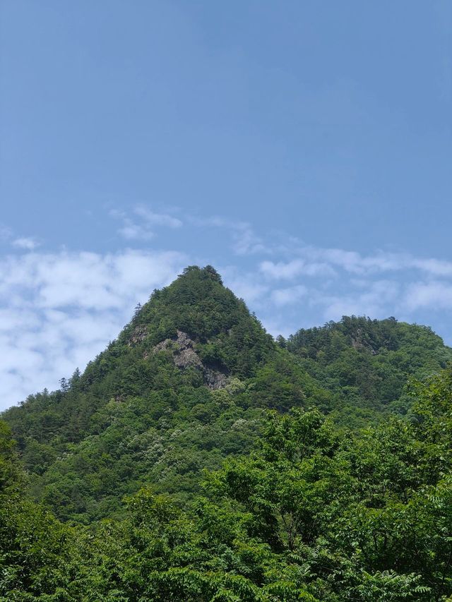 佛坪熊貓谷|山清水秀
