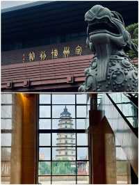 定州已回，真的不建議12月去