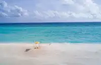 累西腓：巴西的活力海濱之城