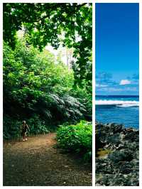 夏威夷可愛島，風光無限好的度假勝地