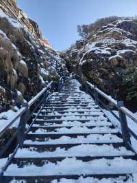 雲南昆明轎子雪山｜治癒你的巍峨壯麗雪世界
