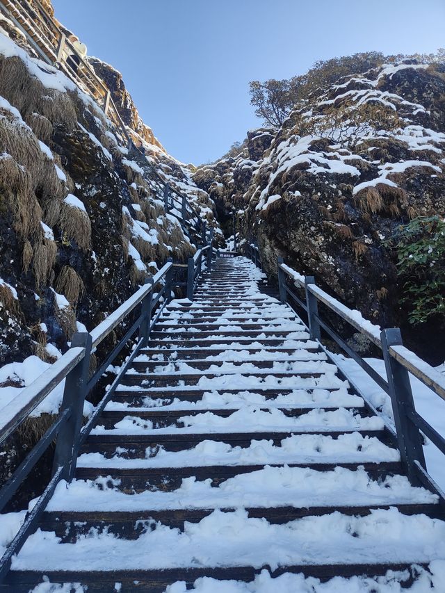 雲南昆明轎子雪山｜治癒你的巍峨壯麗雪世界